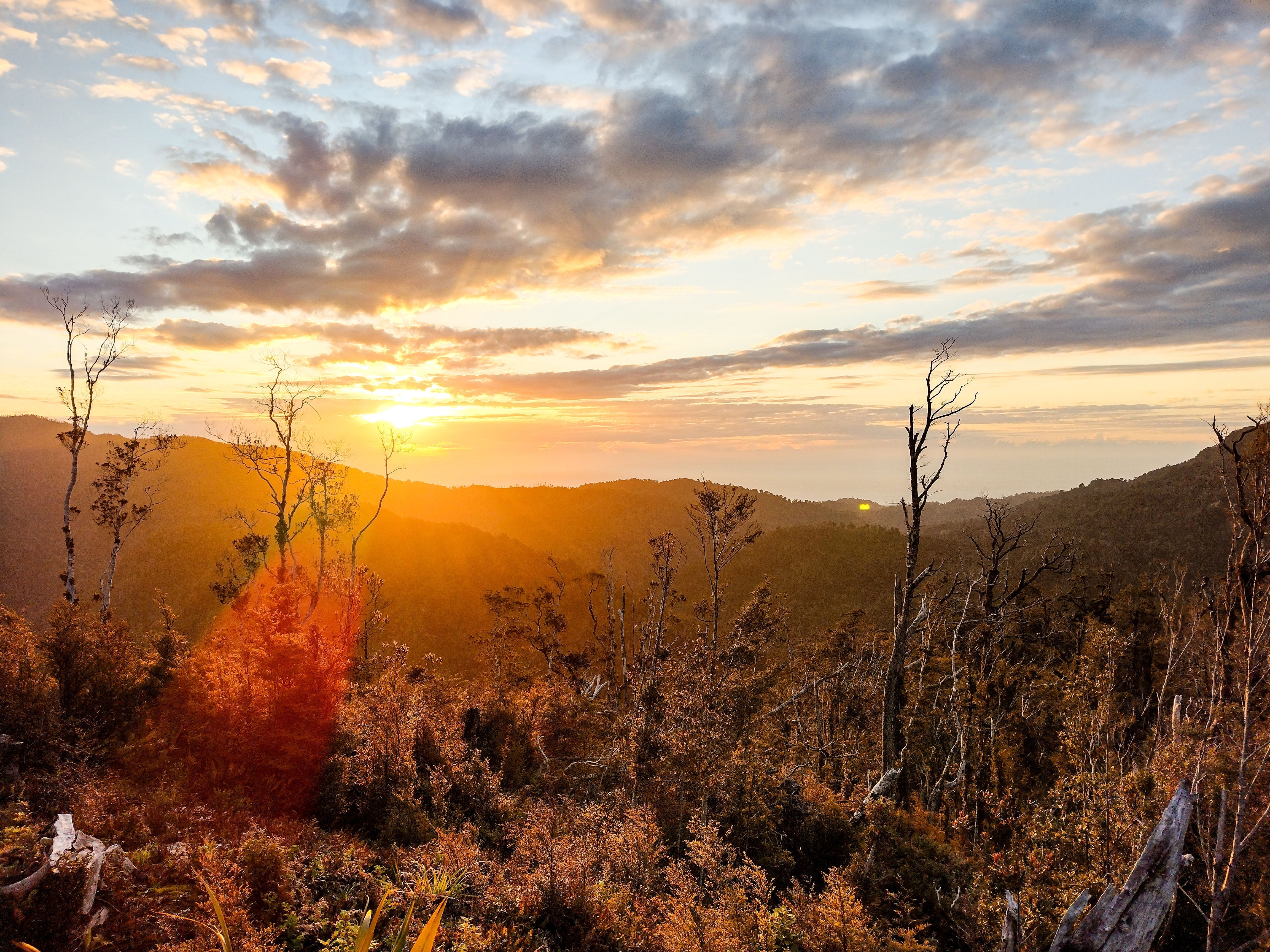NZ's Newest Great Walk: Your Guide & Gear Checklist for Tramping the Paparoa Track