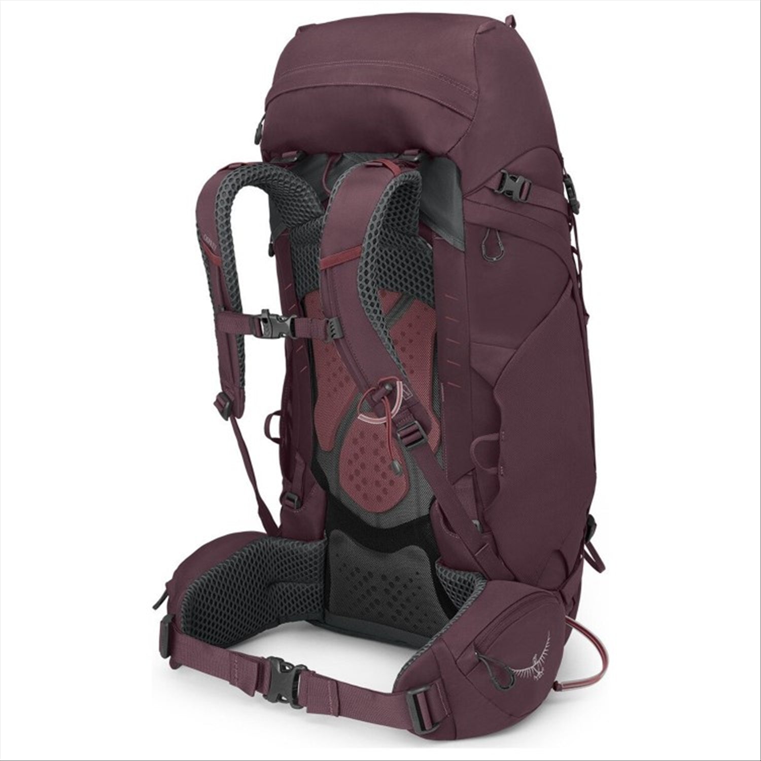 Osprey Osprey Kyte 48 Women's Backpack - Elderberry