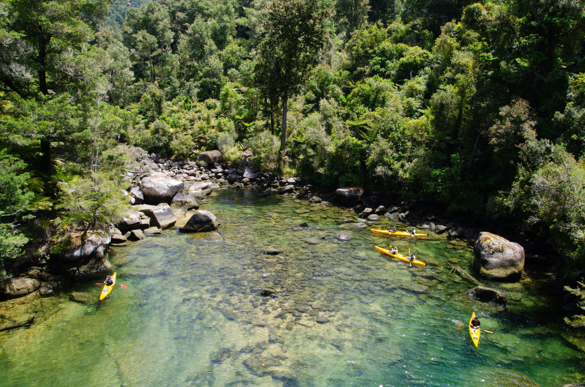 Hiking the Abel Tasman Coast Track: Trail Highlights & Essential Gear Guide