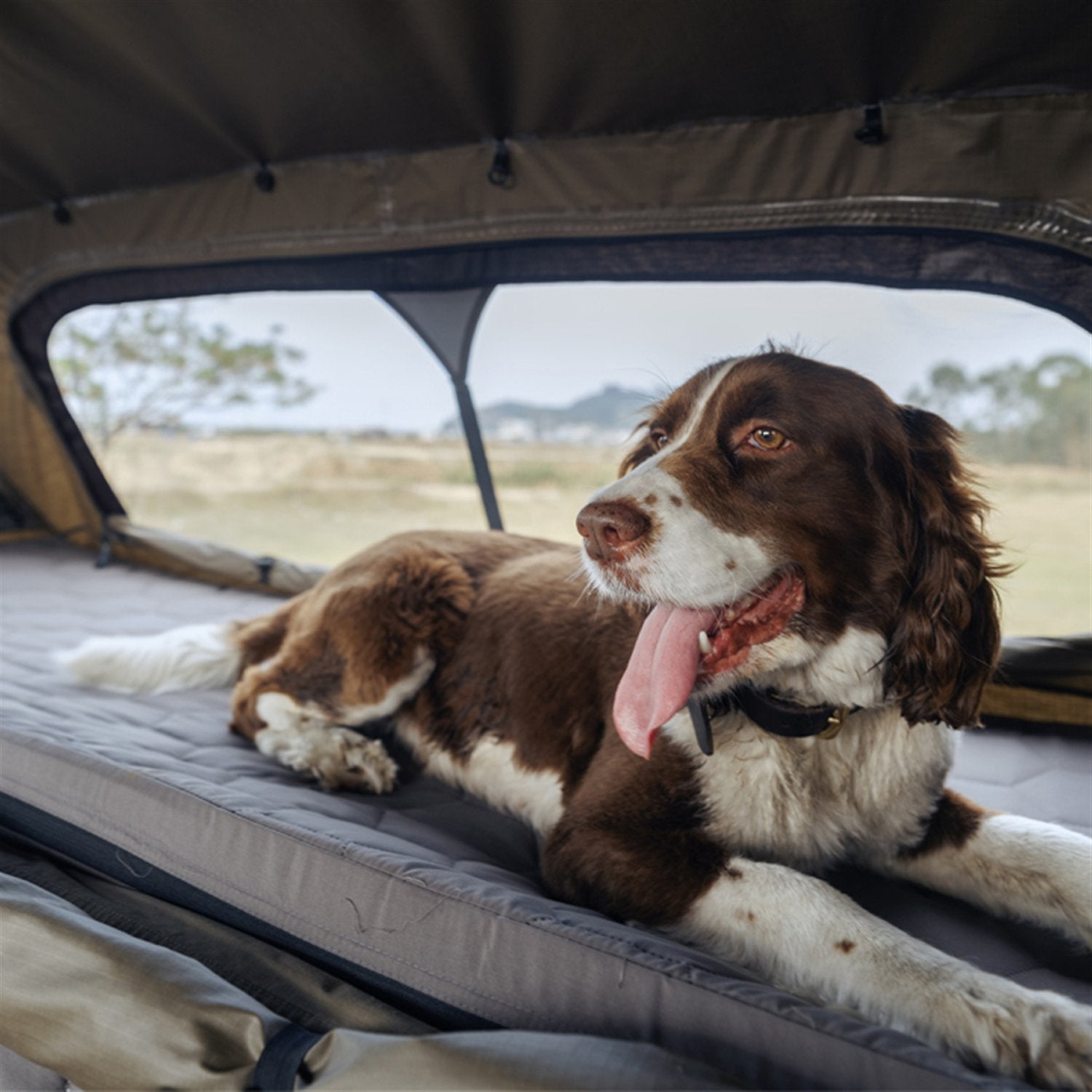 Wild Land Desert Cruiser Plus 130 | Aluminium Hard Shell Family Roof Top Tent