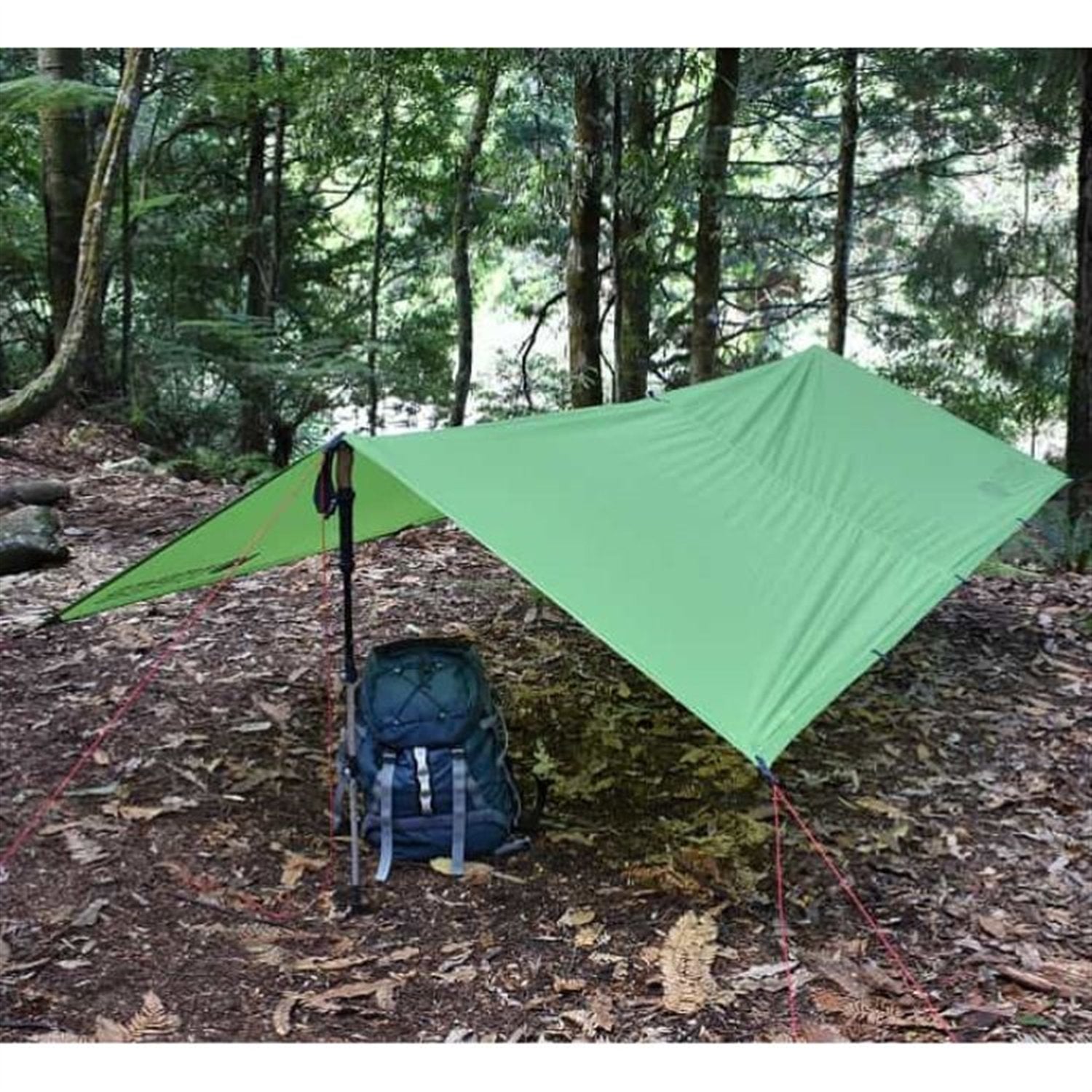 Orson Orson Skyline Ultralight Tarp - 2x3m, 20D Ripstop Silnylon, 380g