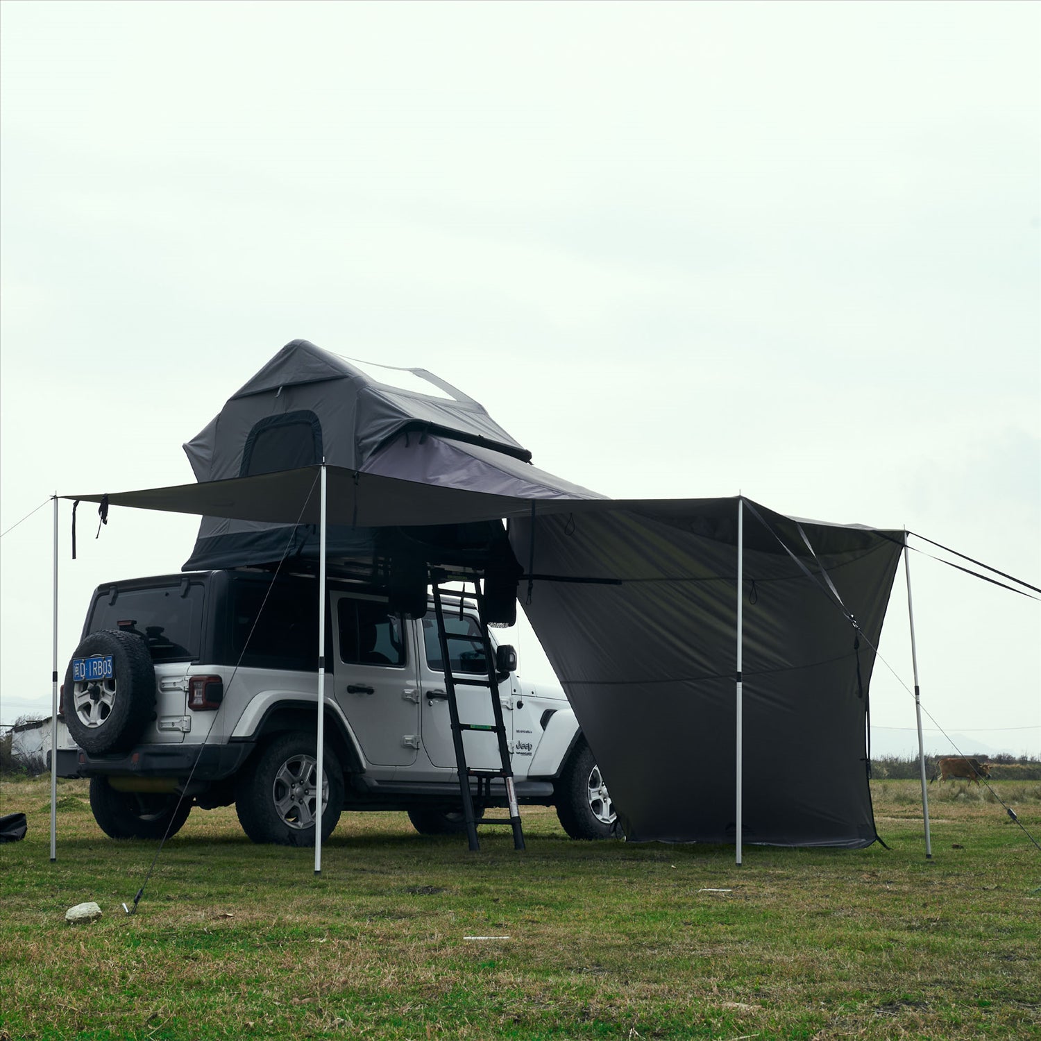 Wild Land Wild Land Universal RTT Connector Lite Cruiser/Bush Cruiser 120/ Voyager 160 & 250