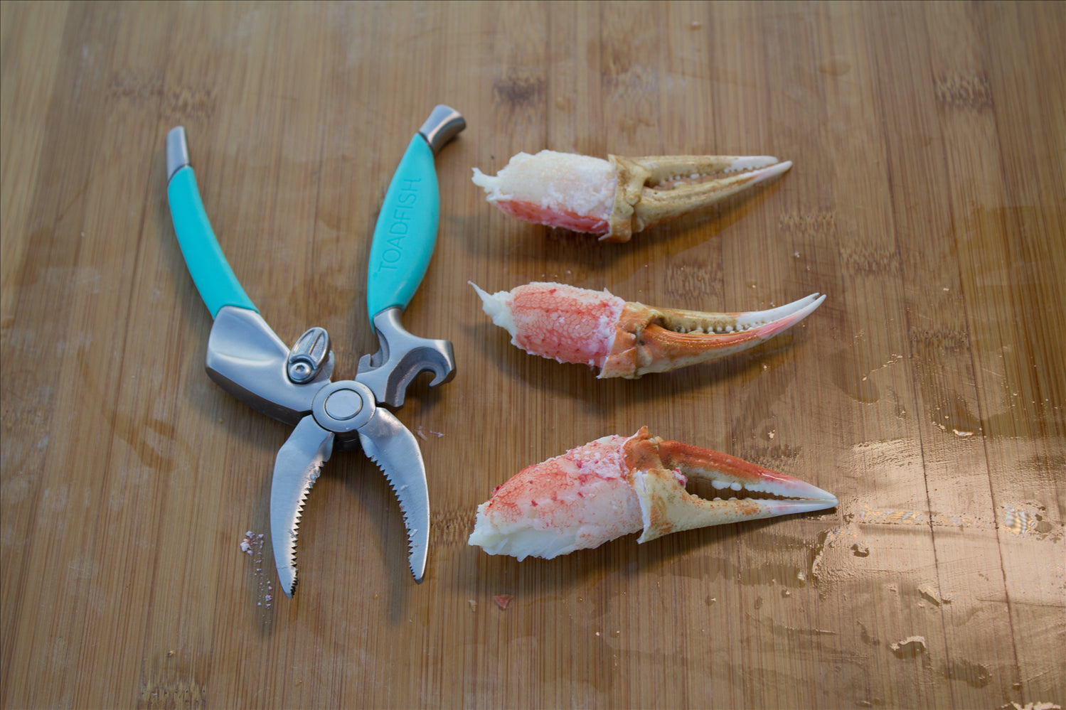 TOADFISH Toadfish Crab Claw Cutter